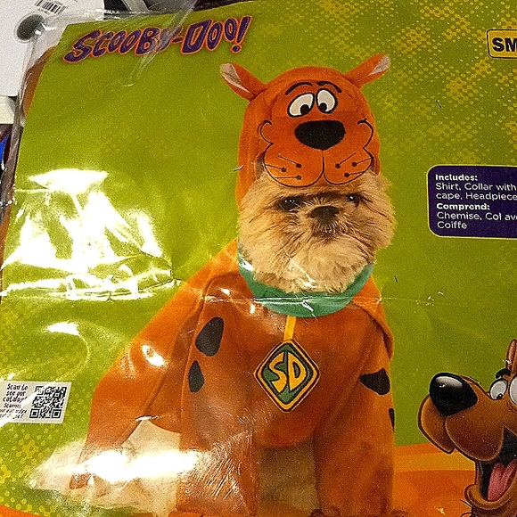 New Dog cat Scooby-Doo costume dress up fun